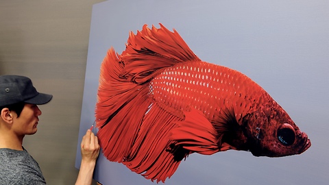 Stunning hyperrealism portrait of red betta fish