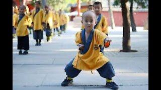 Kids kung fu video