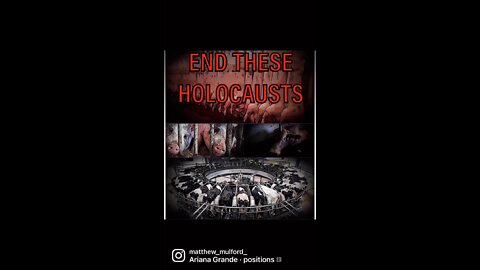 END THESE HOLOCAUSTS