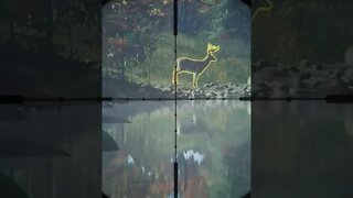 🤯 273 Whitetail - FIRST New England 💎 Diamond - theHunter: Call of the Wild #shorts