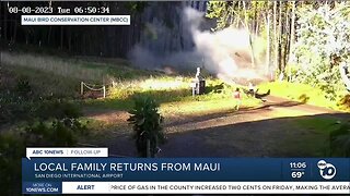 WATCH: San Diego Zoo Wildlife Alliance employee saves endangered birds from Maui fires