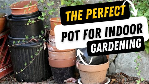 How To Choose THE PERFECT Pot For Indoor Gardening. Indoor Gardening Series ep 3 GardenSoxx Indoors