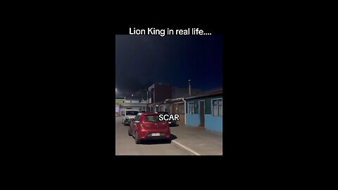 lion King real life