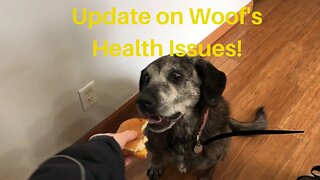Update on Woof's Health!