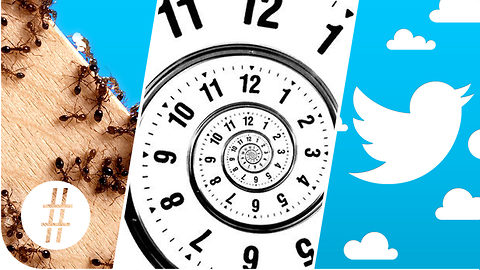 Random Numbers 3: Ants, Time Travel & Twitter