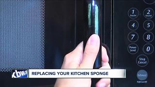 How often do you changer your sponge? It's probably not enough!