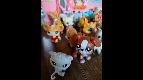 The Littlest Pet Shop Front