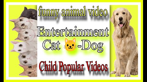 Entertainment Funny Animals Video// Cat 🐱 Dog entertainment Funny video