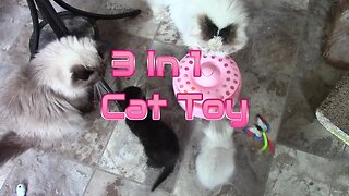 My Cats Review The 3 In 1 Smart cat Toy! 😻#Cattoy #SmartToy #Review