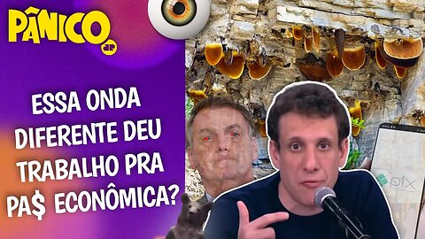 TRETA DO PIX ENTRE BOLSONARO E OS BANCOS SURGIU DA BRISA DO MEL ALUCINÓGENO? SAMY DANA ANALISA