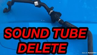 Quick How To: Remove 2015 - 2017 Mustang GT Sound Tube “Blowfish” Delete