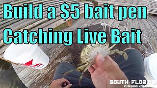 Build your own live bait pen + catching bait pin fish