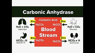 Zinc is an ALKALINE MINERAL because it helps put every fluid in your body in the right pH.