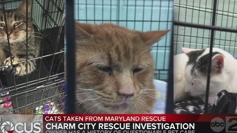 97 counts of neglect filed against animal rescue, according to Allegany County Animal Shelter