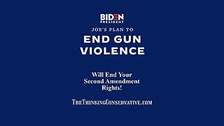 The BIDEN Gun Plan Exposed