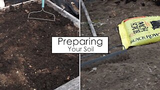 Preparing Your Soil for Transplanting