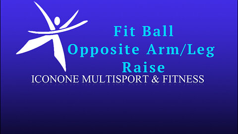 Fit Ball Opposite Arm/Leg Raise