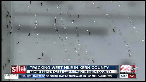 17th case of West Nile Virus in Kern County confirmed