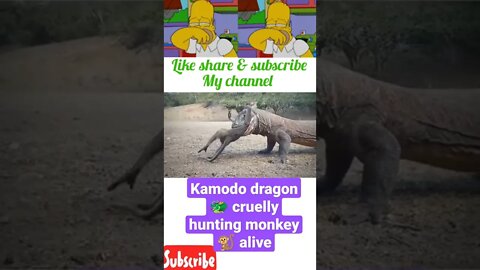 Dragon kamodo cruelly hunting monkey alive||#shorts #youtubeshorts