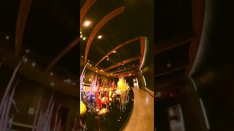 Chihuly Collection #shorts #stpetersburg #insta360