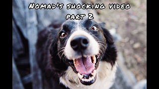 Nomad's Shocking Video part 2