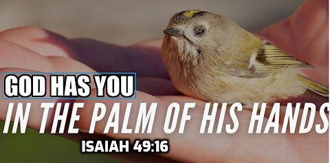 God has you in the palm of His hands - The Word for today