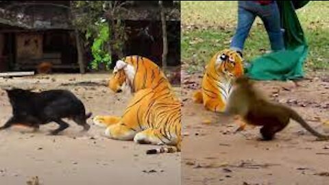 Wow Nice Prank! Fake Tiger Prank Dog Run Funny Action 2021#/