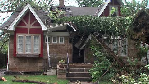 Massive tree splits Cleveland Heights house nearly in half