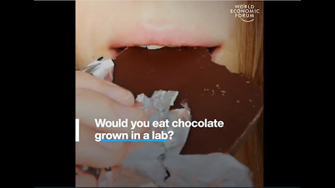Klaus Analswab wants you to eat lab grown chocolate