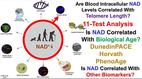 Is NAD Correlated With Telomere Length, Biological Age, Or Other Biomarkers?