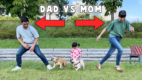 Who Do My Dogs Love More? **DOG LOYALTY TEST