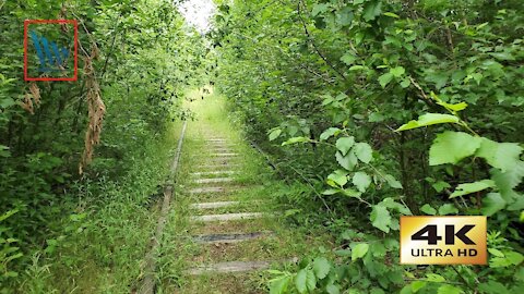 Abandoned Tracks - 4K Hike