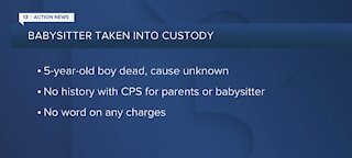 Babysitter taken into custody after child's death