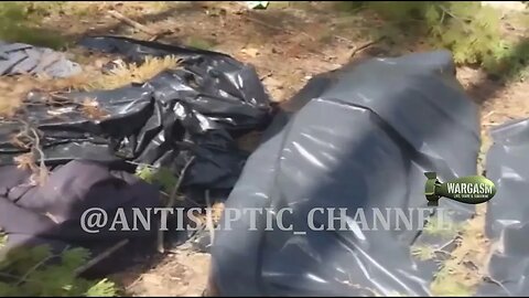A dozen bagged bodies in Kremennaya forest