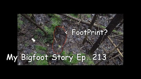 My Bigfoot Story Ep. 213 - Another Footprint & The Stone Structure