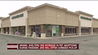 Local shelters report surge in pet adoptions, fostering