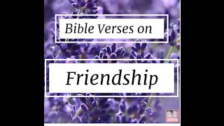 7 Bible verses on friendship part 6 Inspirational #shorts// scriptures for friendship and love