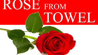 DIY towel art: How to make a beautiful rose