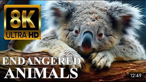 ENDANGERED ANIMALS 8K ULTRA HD with Names and Sounds