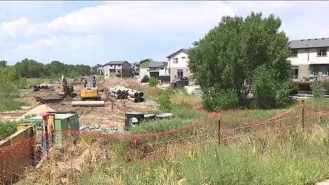 Dozens of trees bulldozed in Green Valley Ranch for new Aurora sewer line