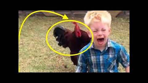 You Cant Stop Laugh Funny chickens and roosters Chasing kids and adults