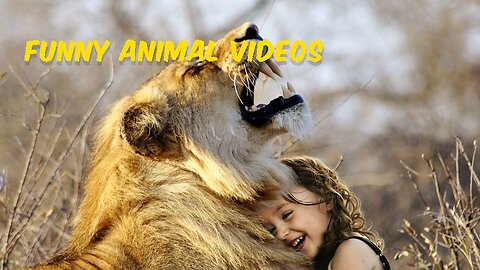 funny animal videos #FunnyAnimals #AnimalComedy #HilariousPets #CuteAndFunny