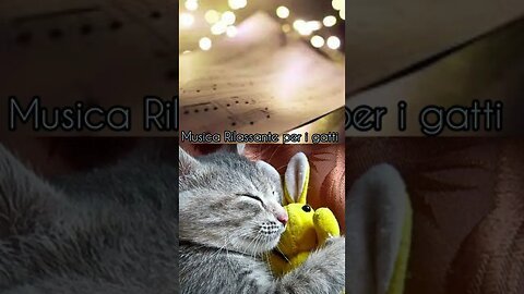 Musica Rilassante per i gatti..dormiranno serenamente.