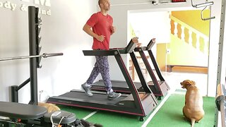 Caminhada e Trote na Esteira | Walking and Trotting on the Treadmill