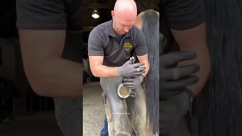 @samdracott_farrier discussing this video that received over 200 million views #farrier #horses