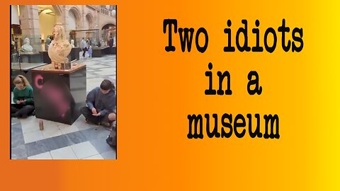 Two Idiots Vandalise a Museum (trigger warning - it gets rude)
