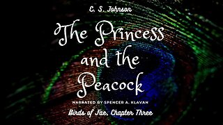 The Princess and the Peacock, Chapter 3