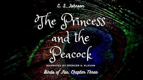 The Princess and the Peacock, Chapter 3