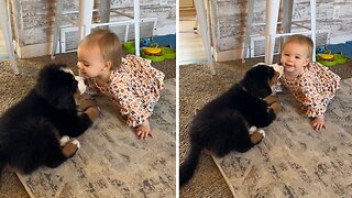 Baby and puppy share precious moment together