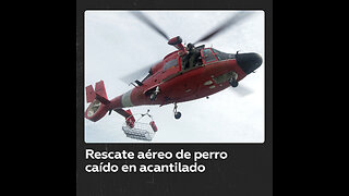 Un perro es salvado desde el aire tras caer de acantilado